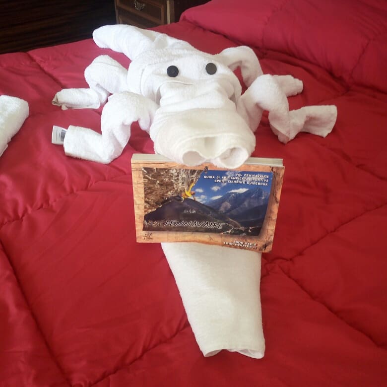 IMG_20190626_164349_108